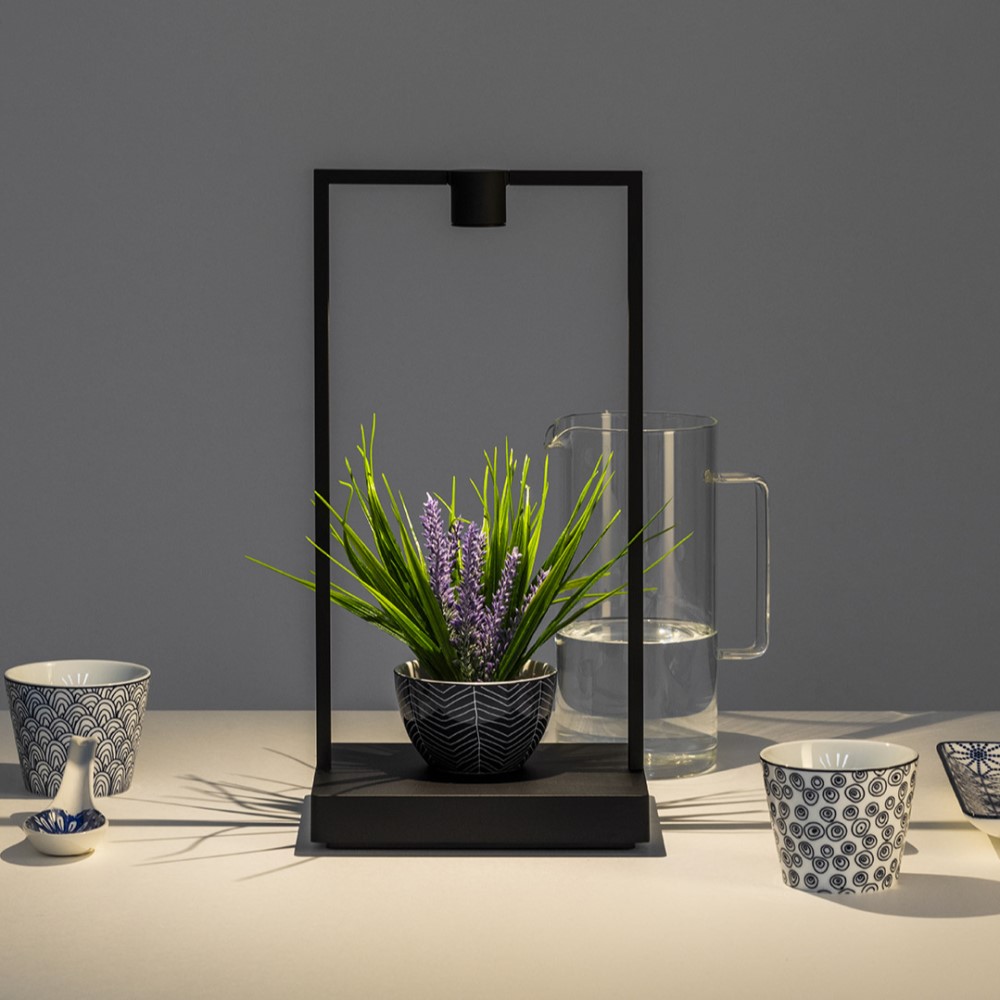 Curiosity Table Lamp