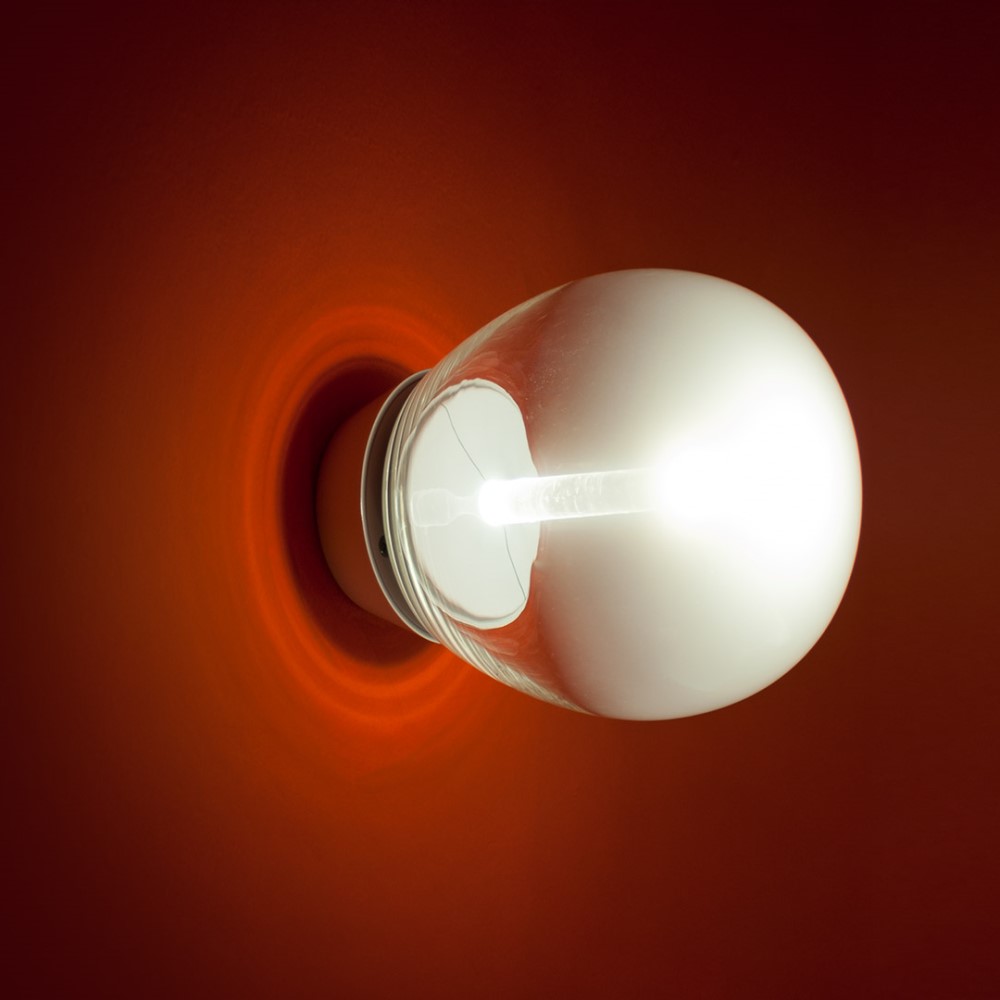 Empatia LED Wall and Ceiling Light