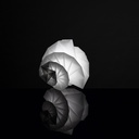 In-El Mendori Table lamp