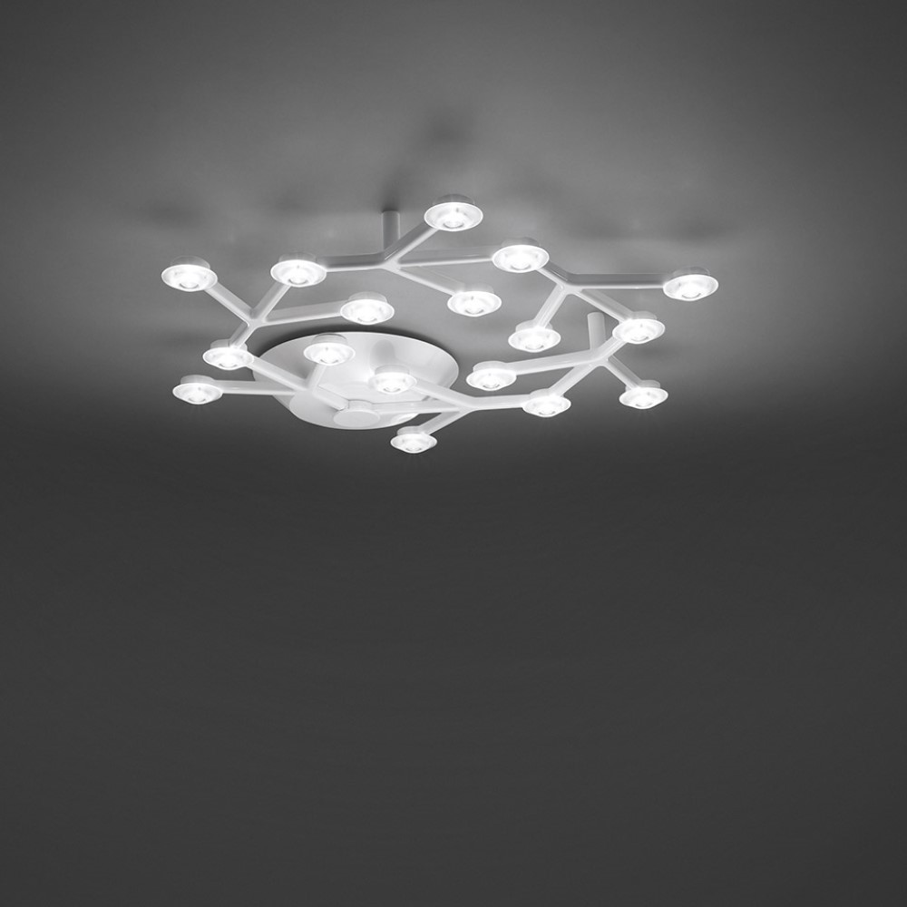 Led Net Circle Ceiling Light
