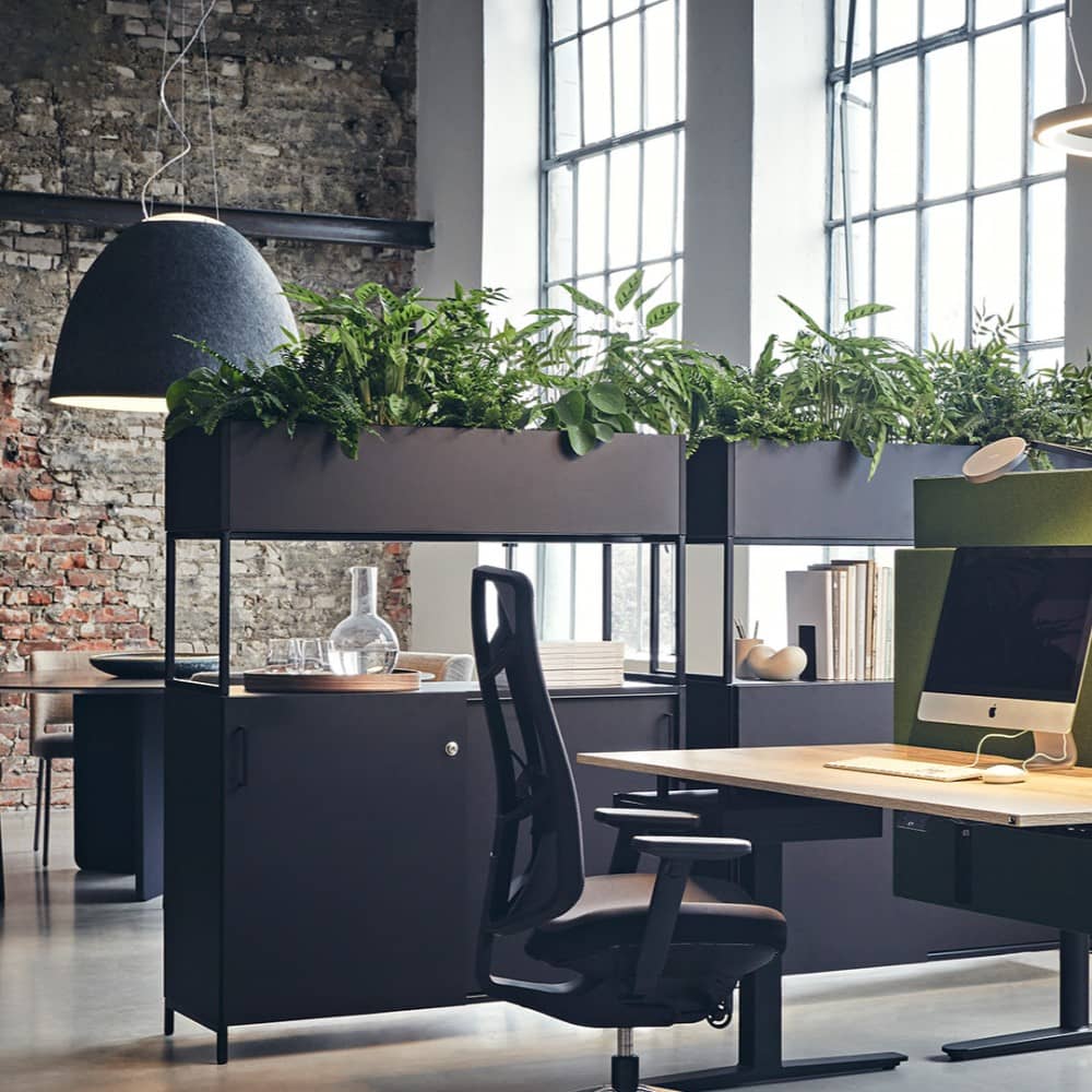 Nur Acoustic Suspension Lamp