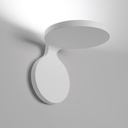 Rea Wall Light