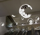 Scopas Suspension Lamp