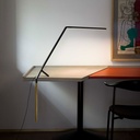Bird Table Lamp