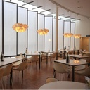 Agatha E27 Suspension Lamp