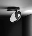 Nautilus Ceiling Light