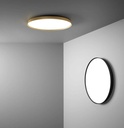 Compendium Plate Wall and Ceiling Light