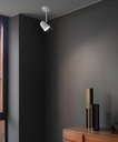 Counterbalance Spot Wall and Ceiling Light