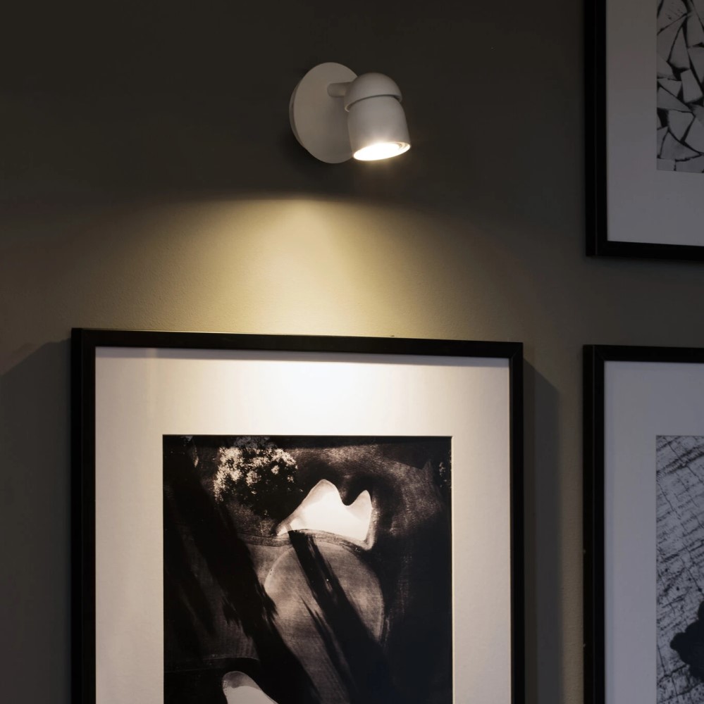Coco Wall and Ceiling Light               