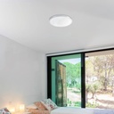 Ami Ceiling and Wall Light       