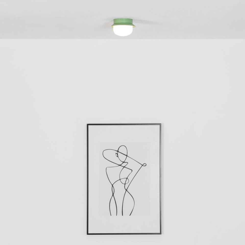 May Wall and Ceiling Light
