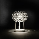 Caboche Table Lamp