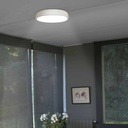 Cocotte Ceiling Light   