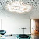 Venn 2.0 Ceiling and Wall Light