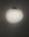 Gregg Wall and Ceiling Lamp