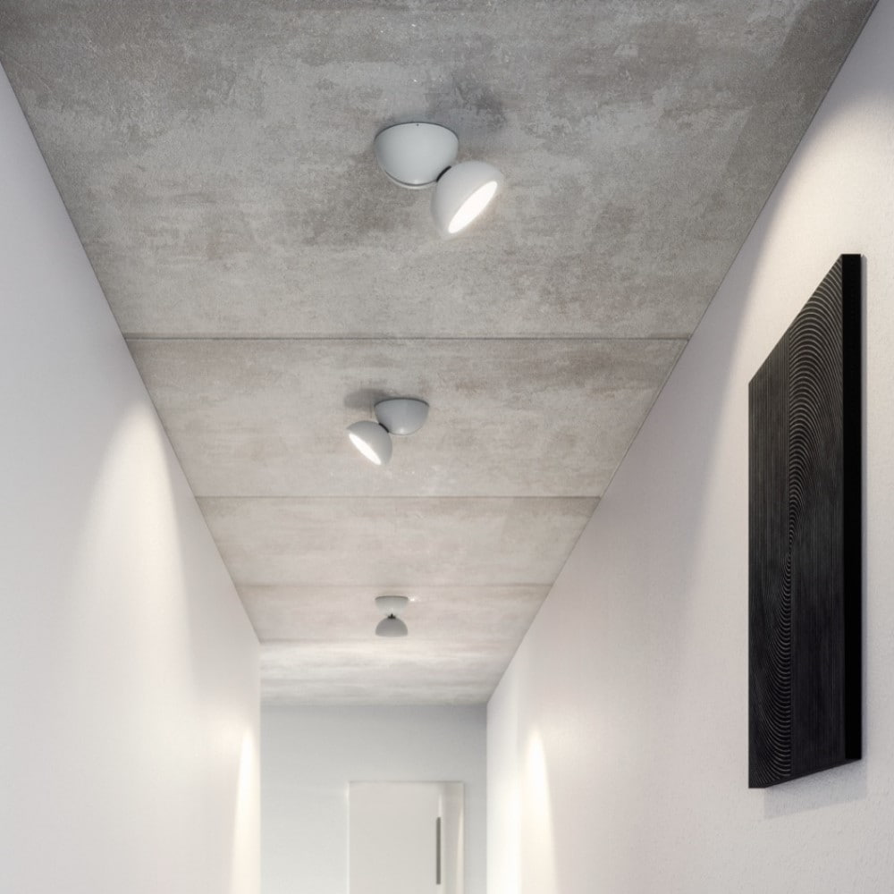 Dodot Wall and Ceiling Light