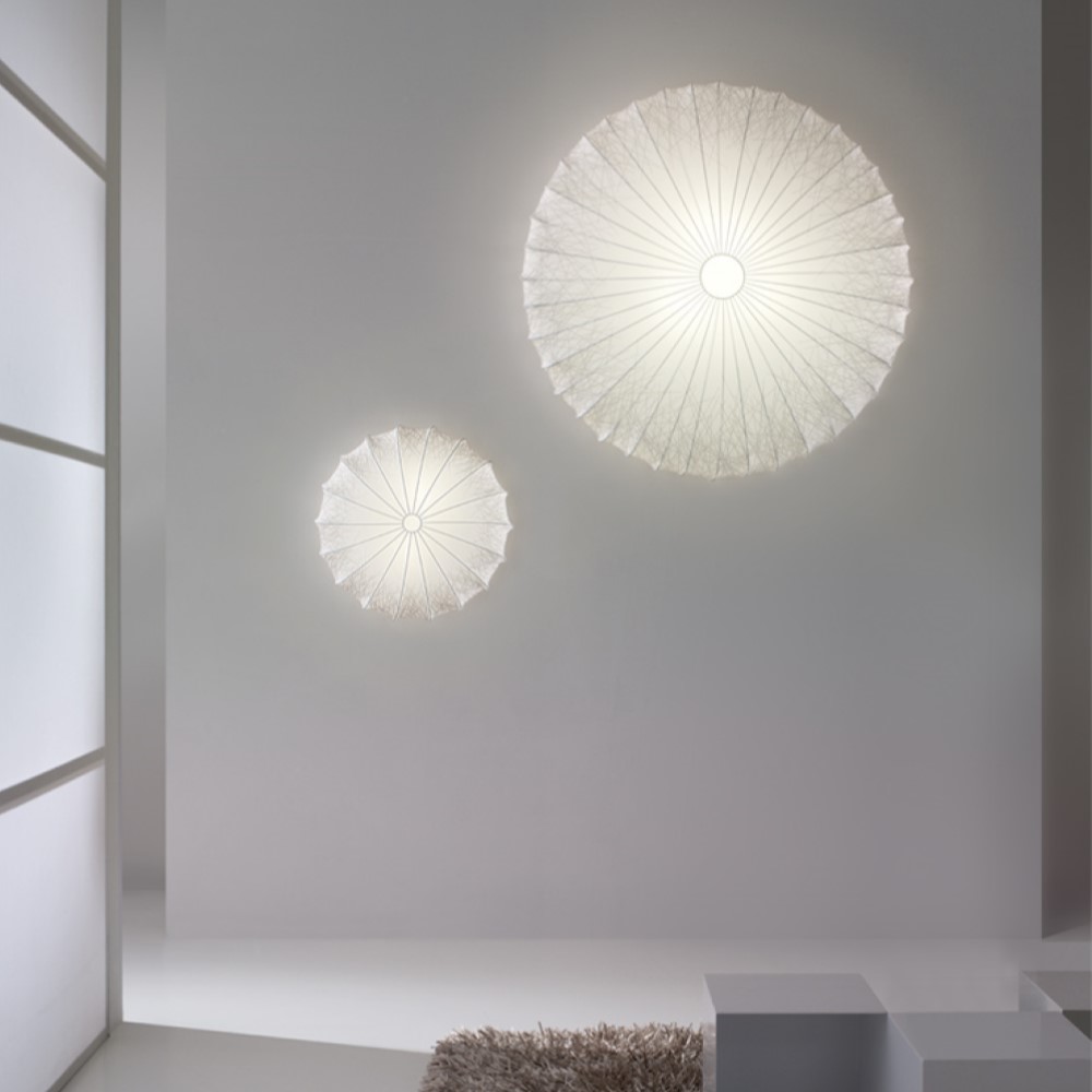 Muse Ceiling and Wall Light