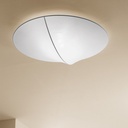 Nelly Ceiling and Wall Light