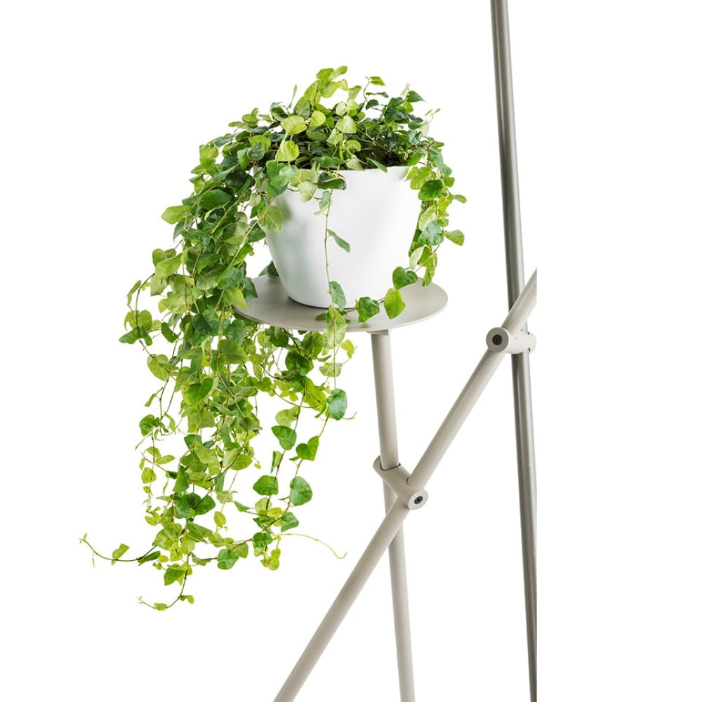 Asana P-3769 Floor Lamp