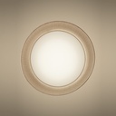 Twiggy Wood Suspension Lamp
