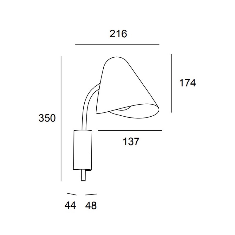 Organic Wall Light