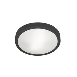 Basic LED Outdoor Wall and Ceiling Light (Dark Grey, Ø26cm)