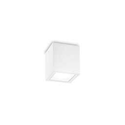 Techo Outdoor Ceiling Light (White, 9cm)