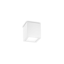 Techo Outdoor Ceiling Light (White, 9cm)