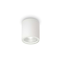 Gun Outdoor Ceiling Light (White)