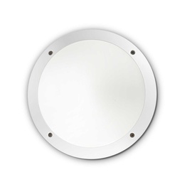 Lucia Outdoor Wall and Ceiling Light (White)