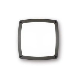 Cometa Outdoor Wall and Ceiling Light (Anthracite grey)