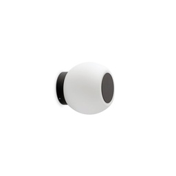 Moy Wall and Ceiling Light (Black)