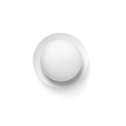 May Wall and Ceiling Light (White)