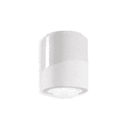 Pi Ceiling Light (White)