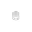Wever &amp; Ducré Ray Mini 1.0 Ceiling Light | lightingonline.eu