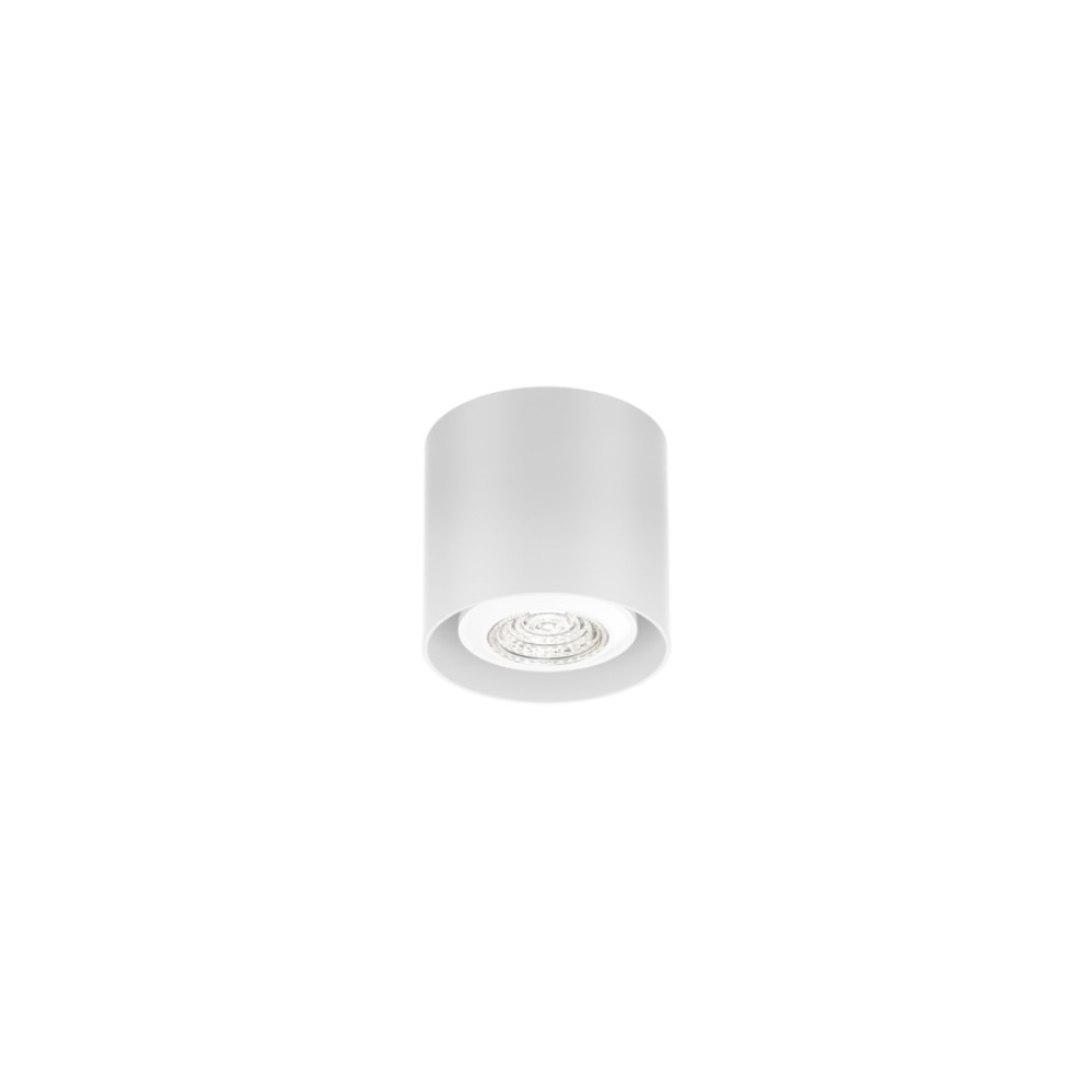 Wever &amp; Ducré Ray Mini 1.0 Ceiling Light | lightingonline.eu
