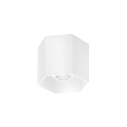 Hexo 1.0 PAR16 Ceiling Light (White)