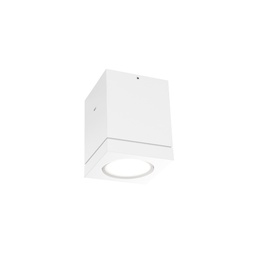Tube Carré LED Outdoor Ceiling Light (White)