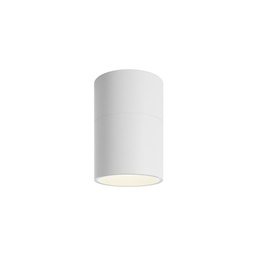 Pivot Ceiling Light (White, 2700K - warm white, 12)