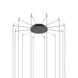 Radial Canopy 5–12 Lights (Black)