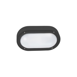 Basic LED Outdoor Wall Light (Dark Grey)