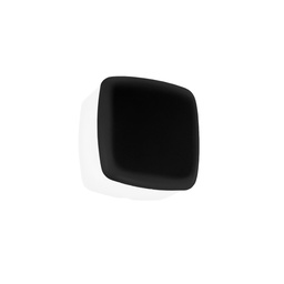 MiniWhite Cover_Q Outdoor Wall and Ceiling Light (Black)