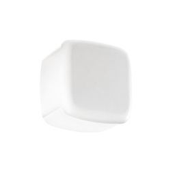 MiniWhite Cover_Q Double Outdoor Wall and Ceiling  Light (White)
