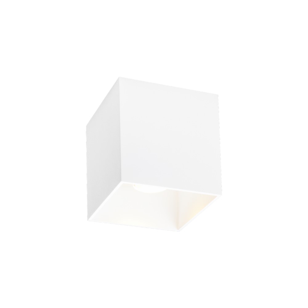 Wever &amp; Ducré Box 1.0 Outdoor Ceiling Light | lightingonline.eu