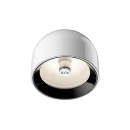 Wan Wall and Ceiling Light (White)