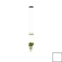 Vibia Palma 3724 Suspension Lamp | lightingonline.eu