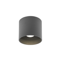 Ray Outdoor Ceiling Light