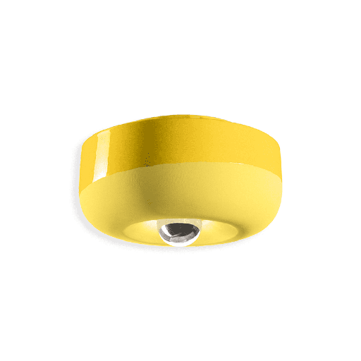 Bellota Wall and Ceiling Light