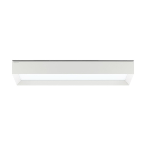 Flo R Wall and Ceiling Light
