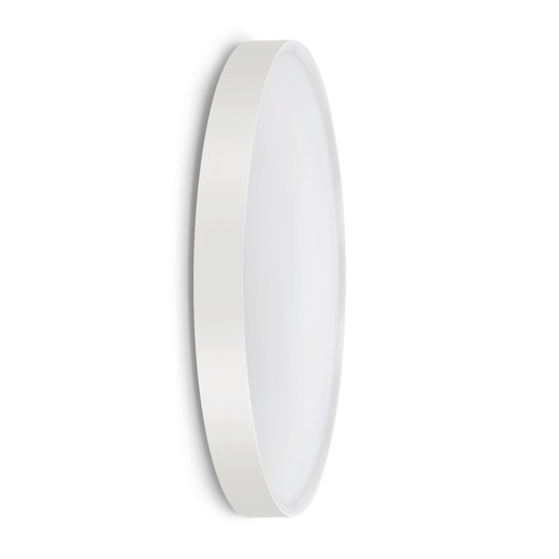 Ola Outdoor Wall and Ceiling Light